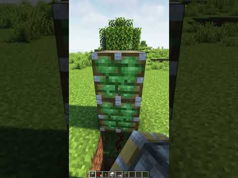 Insane Minecraft Trick: Ultimate Automatic Door Build!