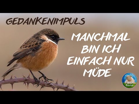Manchmal bin ich einfach nur müde - Gedankenimpuls - Pastor Bernd