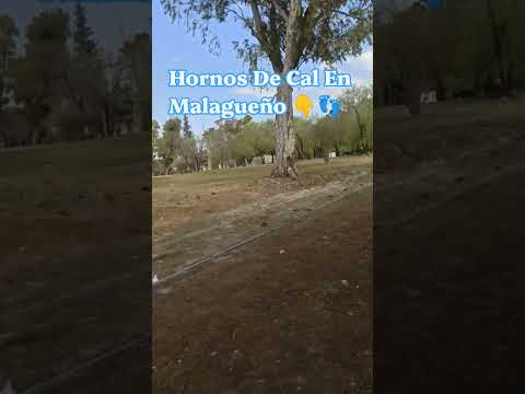 #córdoba #malagueño #fypシ゚viral #hornosdecal👉