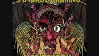 Magrudergrind/Shitstorm split (Magrudergrind side pt.1)