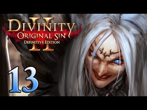 Divinity Original Sin 2 - Part 13 - (Lonewolf - Multiplayer with Aavak)