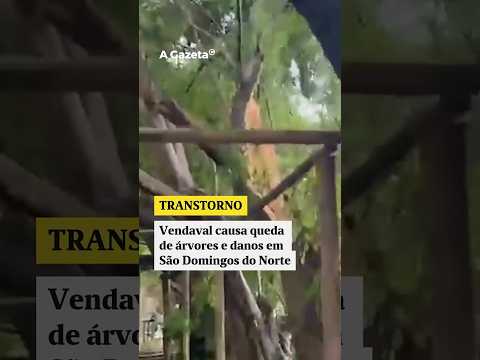 Vendaval causa queda de árvores e danos em São Domingos do Norte #shorts #noticias