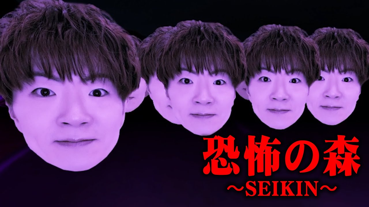 森で『セイキンさん』の顔が大量に追いかけてくるゲームがヤバすぎたwww【恐怖の森SEIKIN / セイキンの森】