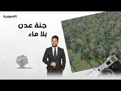 شاهد بالفيديو.. جنة عدن بلا ماء
