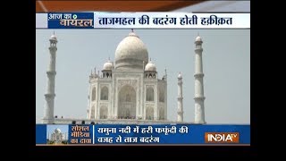 Taj Mahal infected by insects, monument colour change worries Supreme Court