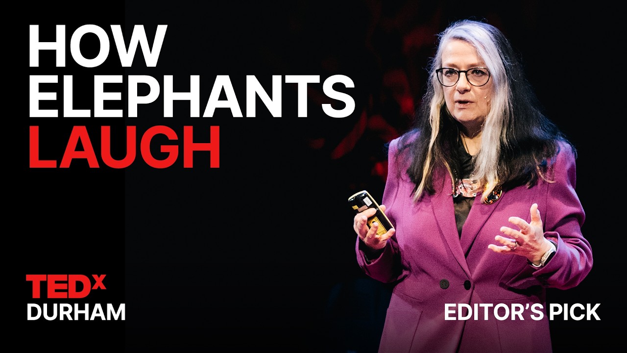 The science of human and animal laughter | Sophie Scott | TEDxDurham