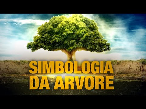A Bíblia video