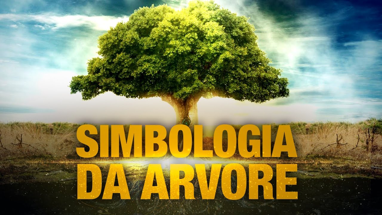 SIGNIFICADO DA ÁRVORE NA BÍBLIA - Símbolo da graça de Deus e da vida eterna