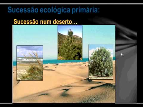 Sucessão Ecológica - aula 3 - prof. Tânio