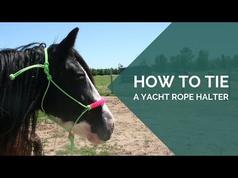 YouTube video about: How to tie a rope horse halter?