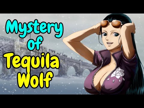 What happened in Tequila Wolf One Piece