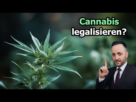 Darum wird CANNABIS bald LEGALISIERT. Pro und Contra | Herr Anwalt