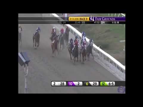 Instilled Regard -  2018 Lecomte Stakes