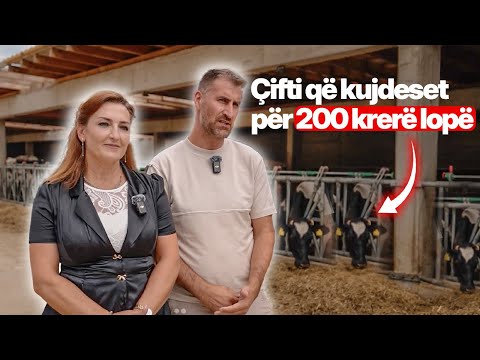 Çifti dikur punonte nga tri punë në Zvicër, sot ka ndërtuar fermën në Kosovë, me mbi 200 krerë lopë