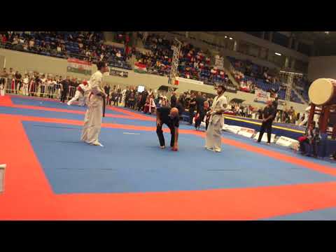 Sayadov Etibar European Championship Macaristan-Budapest