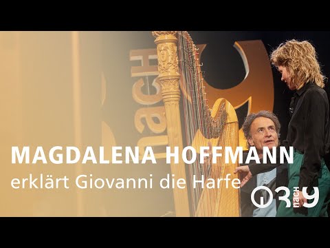 Harfenistin Magdalena Hoffmann erklärt Giovanni die Harfe // 3nach9