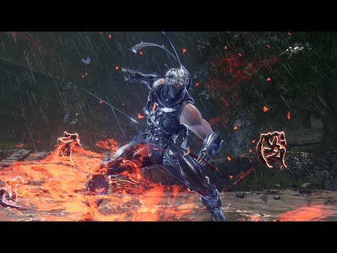 This game on Master Ninja Is the Peak of Combat