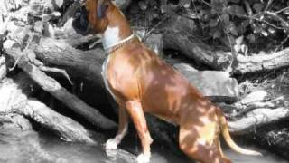 Mike Oldfield - Crystal Clear