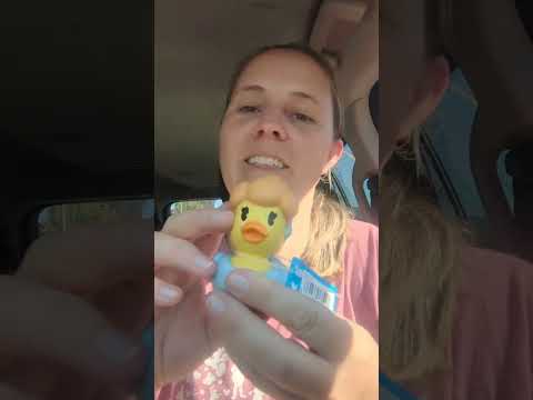 Thumbnail for Disney Duck Hunt - Part 2 #disney #disneyducks #disneycruise #duckhiding #duckhunting