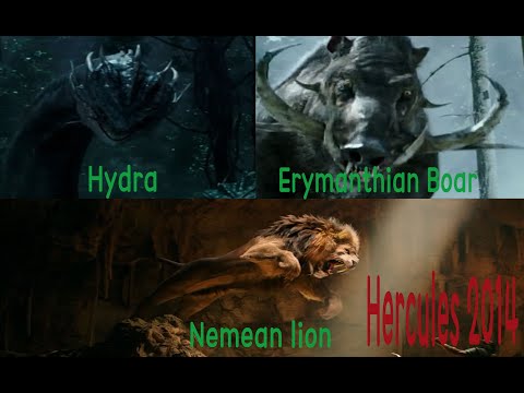 Heracles vs Hydra, Erymanthian Boar, Nemean lion