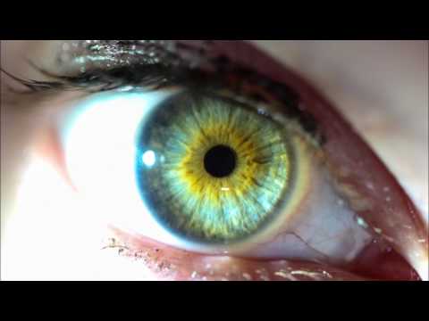 New Hard Dance Mix May 2017 (1.5 Hrs. HQ Tracklist + Download)