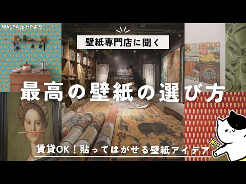 [Too Stylish] How to Choose the Best Wallpaper from an Import Wallpaper Specialist! Tips for Crea...
