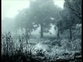 Black Moth Super Rainbow - Untitled [Lost, Picking Flowers in the Woods]