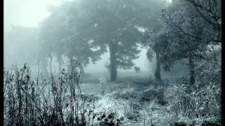 Black Moth Super Rainbow - Untitled [Lost, Picking Flowers in the Woods]