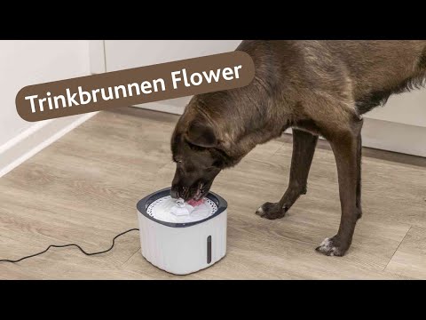 Trixie Drinkfontein Flower 2 liter
