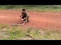 Army Man Catching King Cobra KingCobraStrike Kingcobra Snake Viralvideo Army Cobra