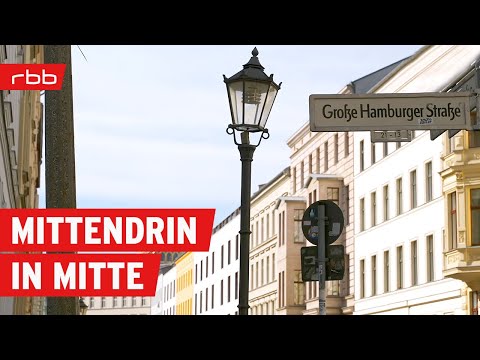 Berliner Kieze: Die Große Hamburger Straße in Mitte | Reportage