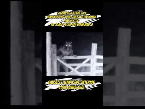 lobisomem na cidade de Quipapá Pernambuco 🐺😱#viral #horror #curiosidades #shorts #lobisomem