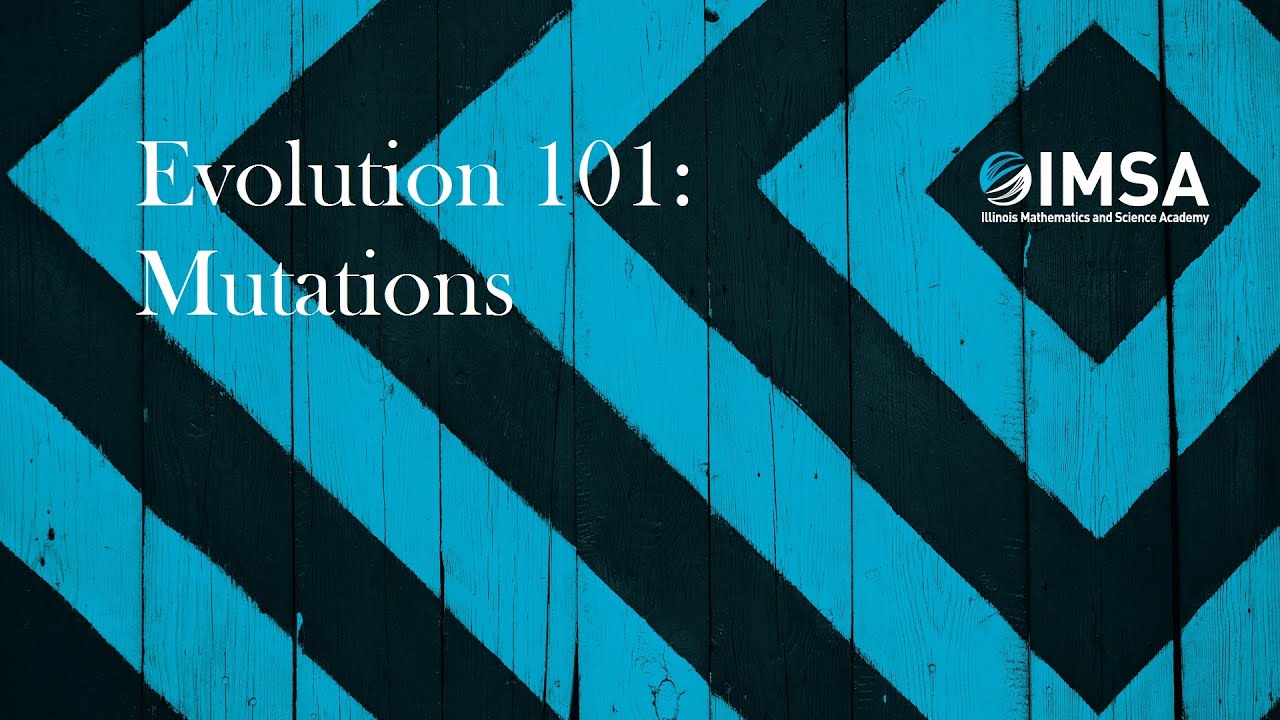 Evolution 101: Mutations