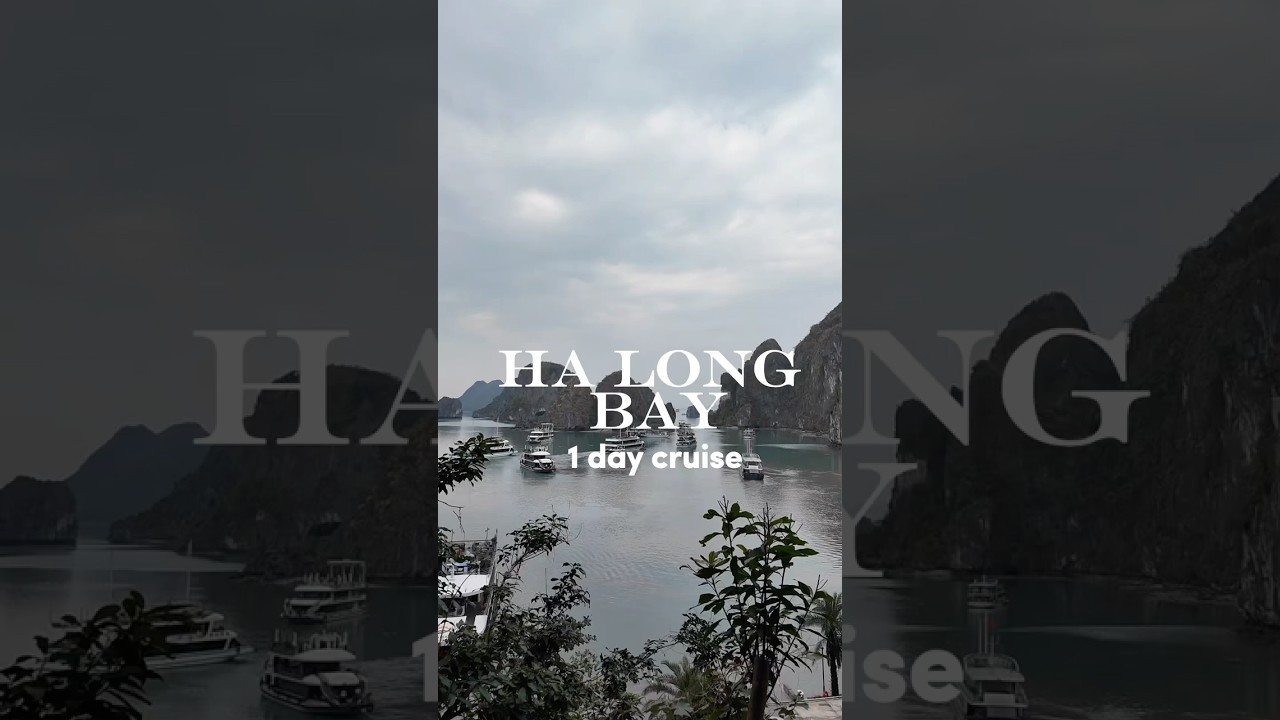 🚢 A Day Tour: 5-Star Luxury Cruise in Ha Long Bay, Vietnam | Ultimate Travel Guide🤩