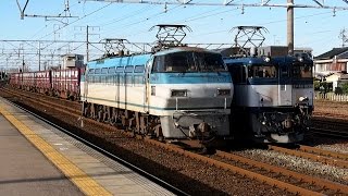 preview picture of video '2014/11/04 JR貨物 コンテナ EF64-1035 & 単機 EF66-114 清洲駅 / JR Freight: Containers & EF66 at Kiyosu'