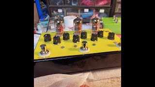 Video thumbnail for The Gazelle Preamp demo - no talking (2021) by Analog Is Not Dead