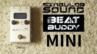 Video thumbnail for Singular Sound Beat Buddy Mini Personal Drummer | Drum Machine Pedal by Robert Jackson