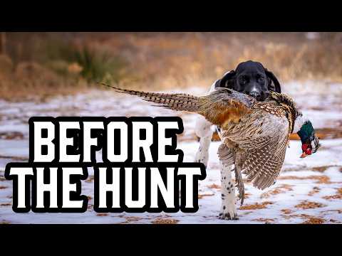 6 Tips To Prep Your Dog For Their First Hunt
