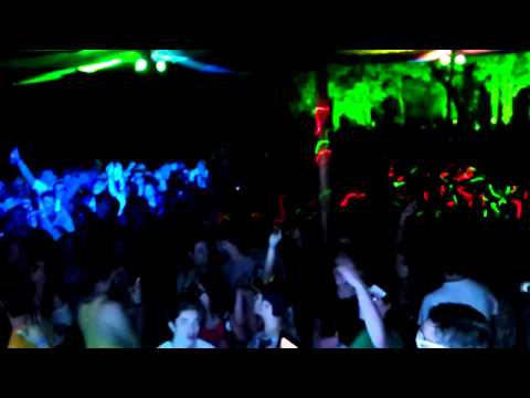 Groove Delight dropping Plastic Robots