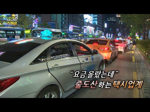 [연합뉴스TV 스페셜] 274회 : 택시가 멈췄다, 법인 택시 회사의 줄도산 위기 / 연합뉴스TV (YonhapnewsTV)