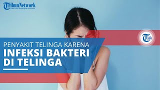 Otitis Media, Penyakit Telinga yang Terjadi karena Adanya Infeksi Bakteri di Telinga Bagian Tengah
