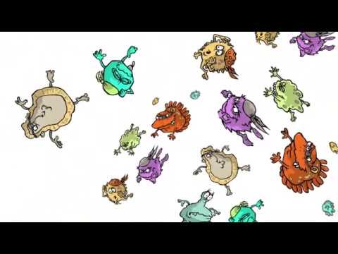EL PODER DE LOS MICROBIOS / Video educativo para niños