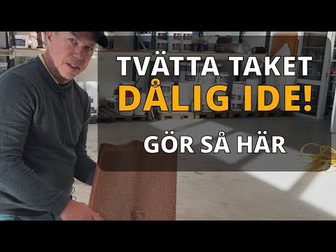 Taktvätt i Göteborg: Varför det inte räcker att bara tvätta för att ta bort mossa?