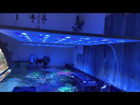 Straton Pro erste Eindrücke