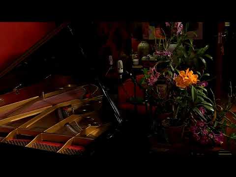 PIANO HOUR 11 10 23 No. 279