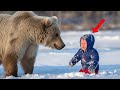 Mother Bear Saw A Frozen Human Baby Crying For Help What She Did Put Everyone In Tears