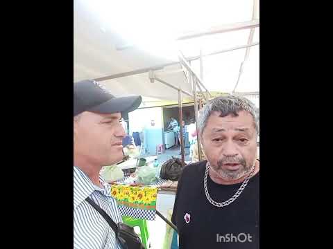 feira livre de são José da laje AL