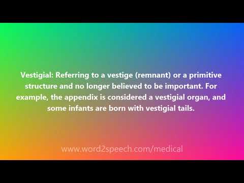 Vestigial - Medical Definition and Pronunciation