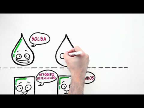 VIDEAS: Caja Laboral Español