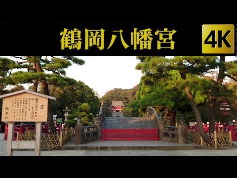 Tsurugaoka Hachimangu , Kamakura , Japan [ 4K Ultra HD ] 鶴岡八幡宮 / 鎌倉